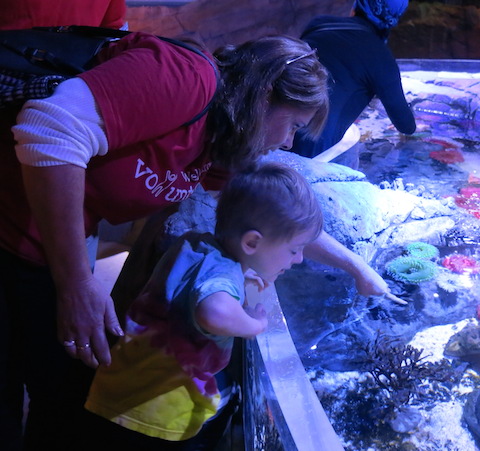 people serving people volunteers at sea life