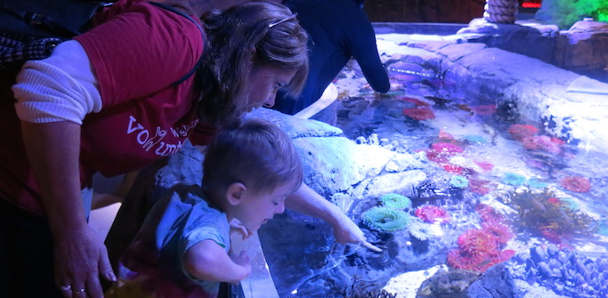 people serving people volunteers at sea life