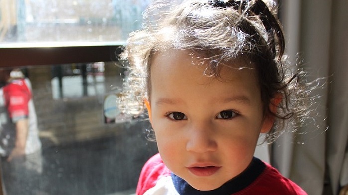 closeup: girl toddler brown hair in pony tail