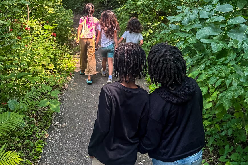 Five children walk together on a paved path surrounded by lush green foliage on a sunny day.